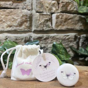 Butterfly Pocket Stone In Bag