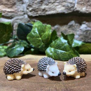 Miniature Hedgehog Set of 3