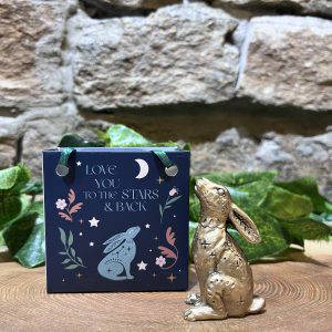 Lucky Midnight Hare In Bag