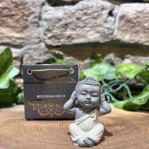 Buddha in Bag Hear No Evil