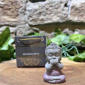 Buddha in Bag Speak No Evil