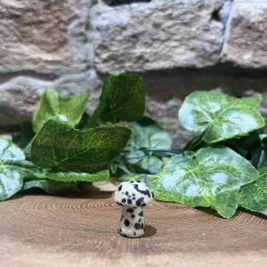 Mini Mushroom Crystal Dalmatian Jasper