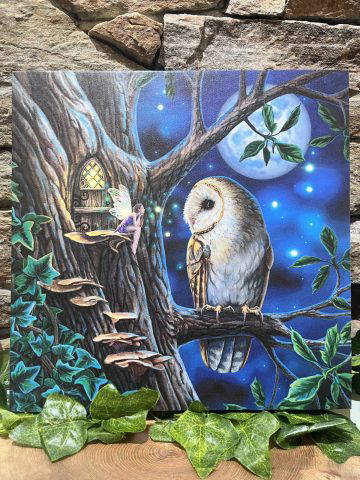 Enchanted Fairy & Owl LED Light Up Canvas Plaque