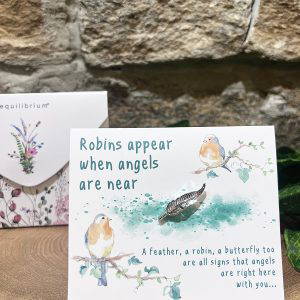 Robins Appear Silver Feather Pin