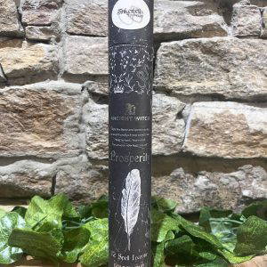 Prosperity Spell Incense & Aventurine Pendulum