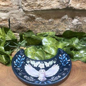 Midnight Owl Moon Trinket Dish