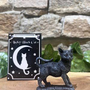 Lucky Black Cat In Bag Standing