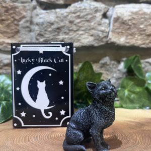 Lucky Black Cat In Bag Looking Up