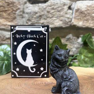 Lucky Black Cat In Bag Sitting