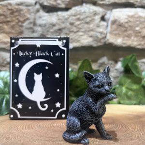 Lucky Black Cat In Bag Paw Up