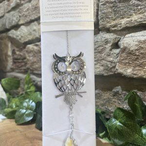 Owl Suncatcher Clear Crystal