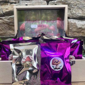 Mystery Pin Badge Magickal