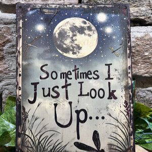 Sometimes I Just Look Up Sign