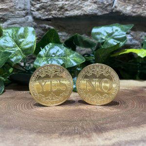 Yes No Oracle Coin