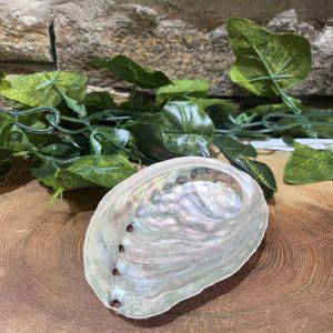 Abalone Shell Smudge Bowl