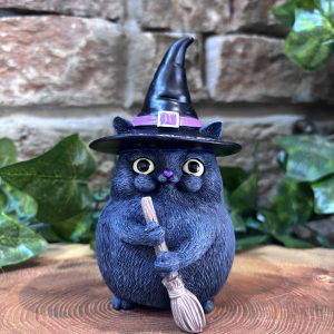 Lucky Black Witchy Cat
