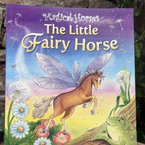 The Little Fairy Horse Book