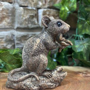 Little Bronze Field Mouse
