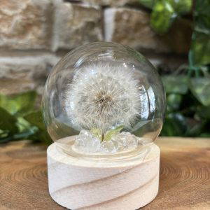 Little Dandelion Wish Light