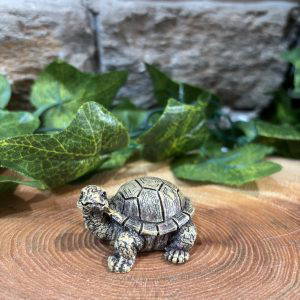 Miniature Tortoise