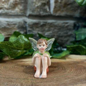 Little Boy Fairy