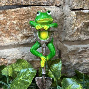 Frog On Spade Stake