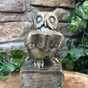 Bronze Reading Owl On Book