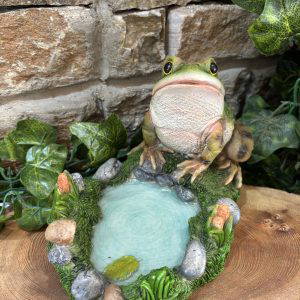 Frog & Pond Ornament
