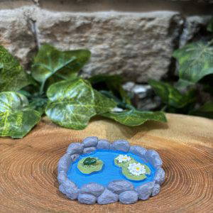 Miniature Frog Pond