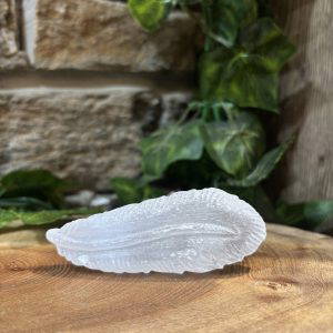 Selenite Crystal Feather