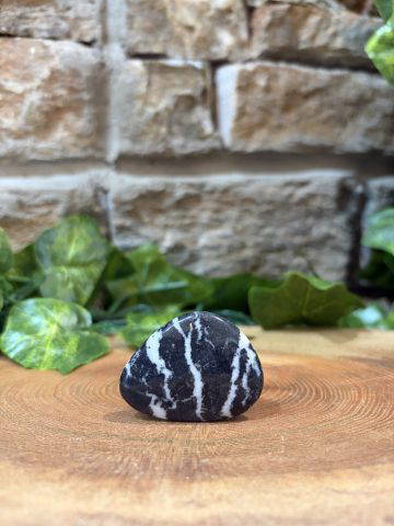 Zebra Agate Crystal Worry Stone