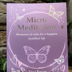Micro Meditation Book