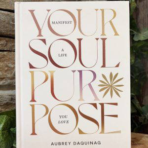 Your Souls Purpose Book