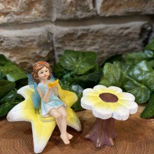 Fairy & Flower Dining Set