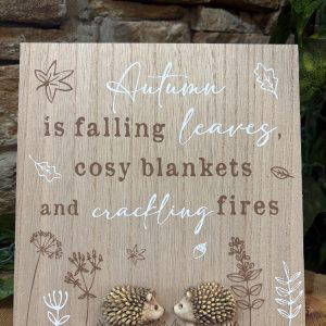 Autumn Hedgehog Plaque Falling Leaves