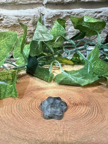 Labradorite Crystal Paw Print - Image 2