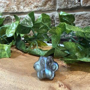 Labradorite Crystal Paw Print