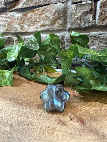 Labradorite Crystal Paw Print