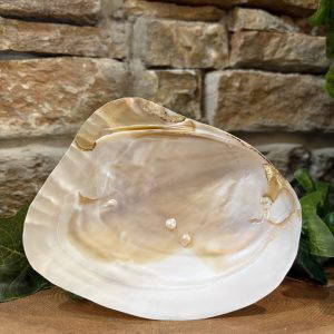 Abalone Shell Smudge Bowl