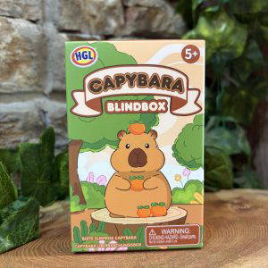 Capybara Blind Box